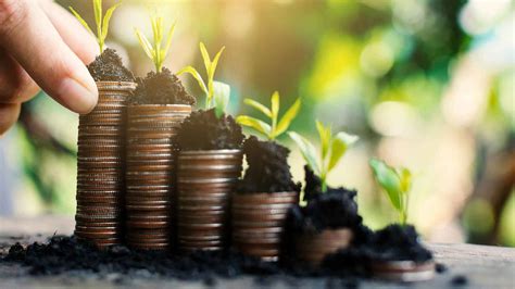 Neuphony raises Rs 1.1 crore in Seed funds