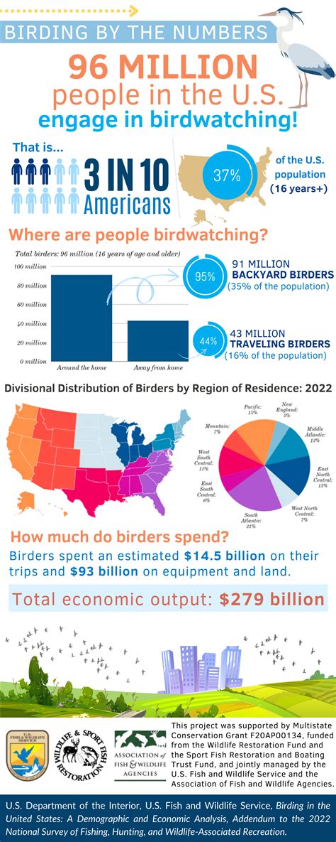 Full Birding Addendum Infographic | FWS.gov