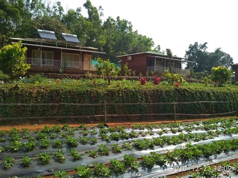 JUNGLE VALLEY AGRICULTURE RESORT (Mahabaleshwar) - Lodge Reviews ...