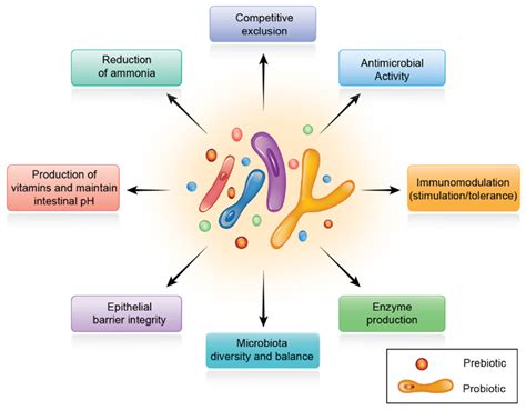 Probiotics, Prebiotics, and Phytogenic Substances for Optimizing Gut ...