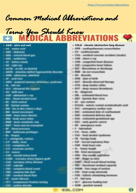 SOLUTION: Common medical abbreviations and terms you should know ...