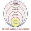 Prepare a concept map on the chapter “Natural Numbers and Whole Numbers ...