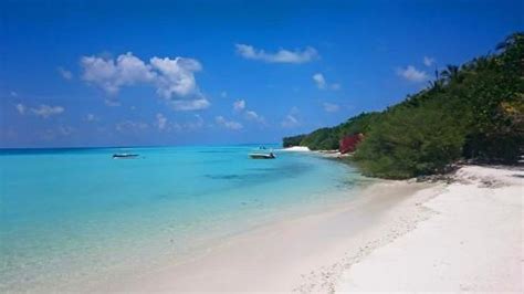 OCEAN COTTAGE (Thulusdhoo Island) - Guesthouse Reviews, Photos, Rate ...