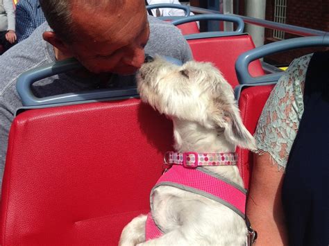 BRISTOL INSIGHT (2025) All You Need to Know BEFORE You Go (with Photos ...