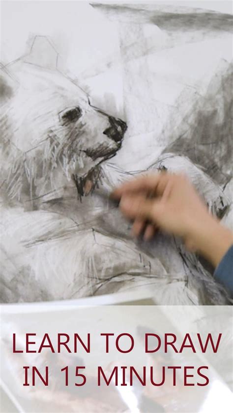 Image result for Cool Drawing Tutorials