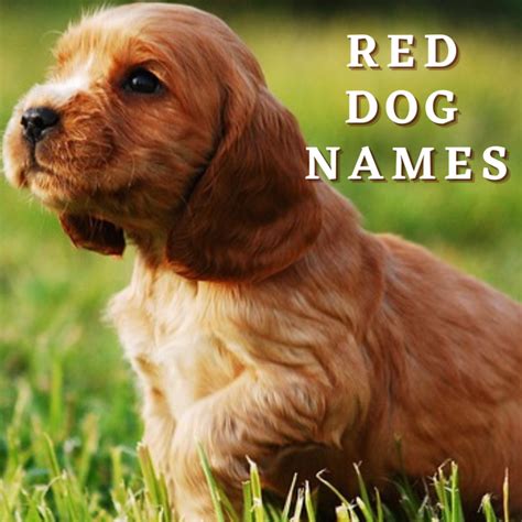 James Livingood on HubPages