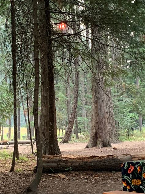 Round Lake State Park Campground | Cocolalla, Idaho