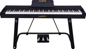 KADENCE DP01 Weighted Key Portable Digital Piano 88 Key with Indian ...