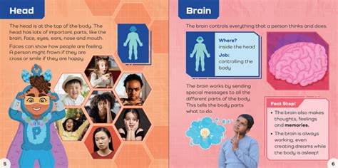 5 Non-fiction Books to Read in the Early Years - Twinkl