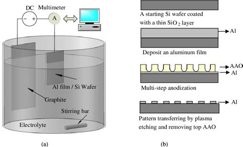 Anodization Process Setup Schematic 的图像结果