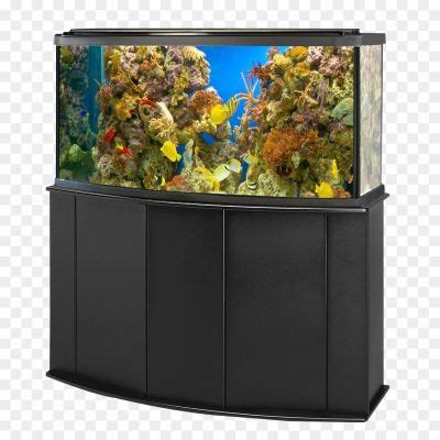 Aquarium Fish Tank Background PNG Image - Pngsource