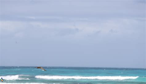 Bird Island Seychelles - Apartment - Location - Bird Island (Seychelles ...