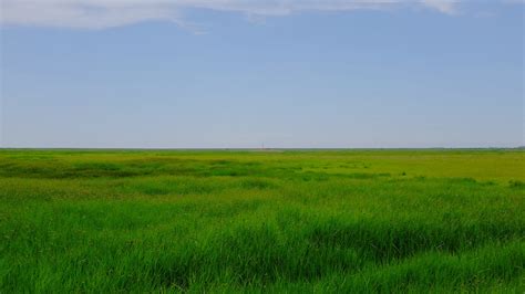 Download wallpaper 3840x2160 field, meadow, grass, horizon, landscape ...