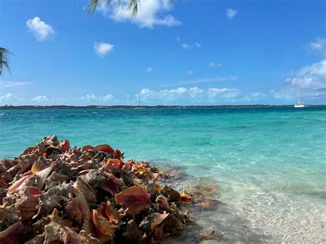 TURTLE DIVERS (2026) All You Need to Know BEFORE You Go (with Photos ...