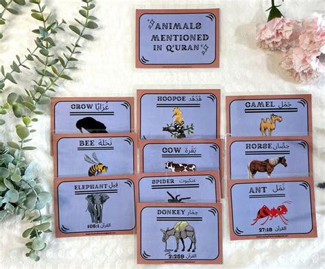 Animals mentioned in quran – The Islamic Kid Store
