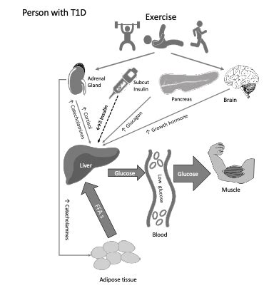 Exercise Science 的图像结果
