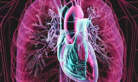 Intravenous tolvaptan equally safe and effective as oral formulation in ...