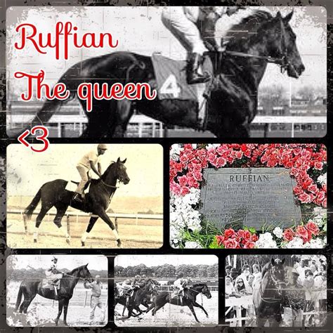 Ruffian | Thoroughbred horse racing, Horses, Ruffian