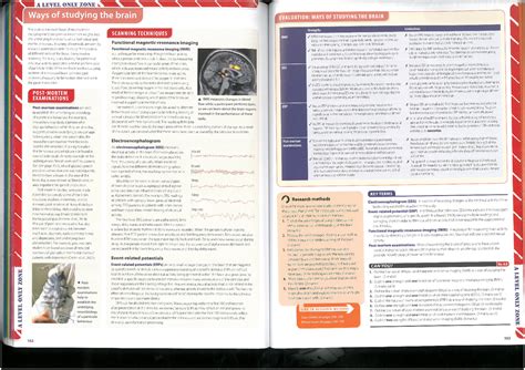 Image result for BioAPI Study Tips