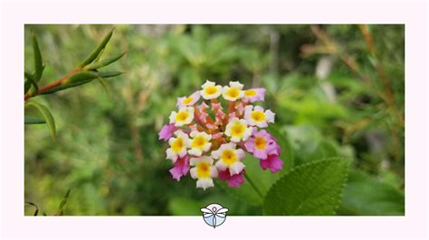 How to Overcome Feeling Like a Failure and Find Confidence