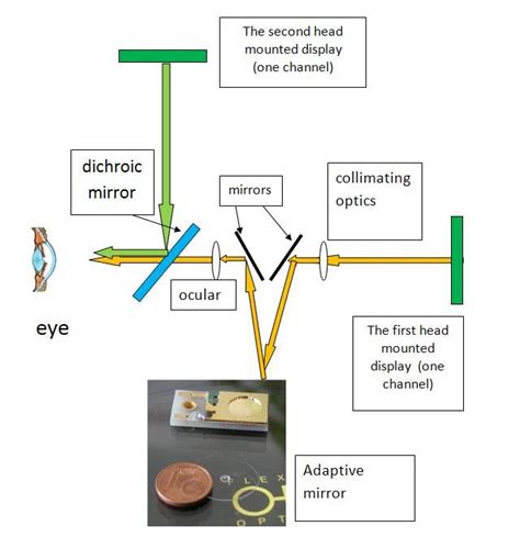 Image result for Vision Experiment