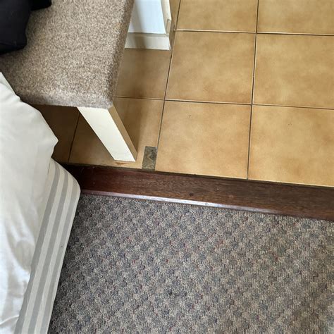 THE BLACK DOLPHIN (Merimbula) - Campground Reviews, Photos, Rate ...