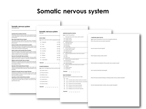 Image result for Somatic Nervous System Graphics