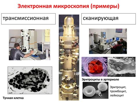 Микроскоп. Методы и техника микроскопии - презентация онлайн