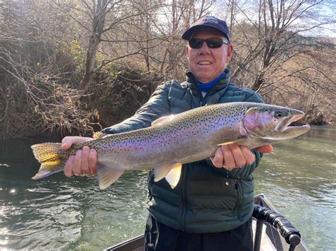 Trinity River Fish Report - Trinity River - More Trinity River ...