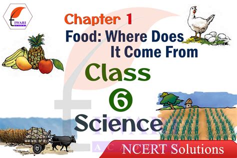 Image result for 6th Class Science Chapter 1 Exercise