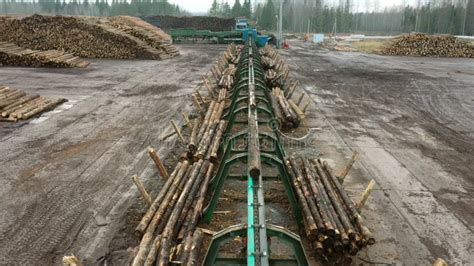 Image result for Wood Sorting System