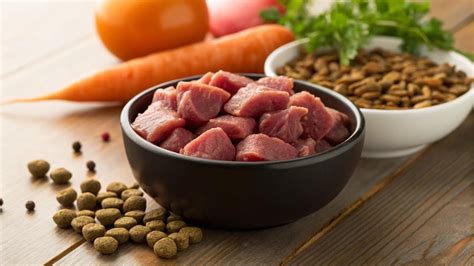 Can I Feed My Dog Raw Meat and Kibble? Understanding the Benefits and ...