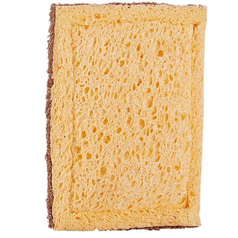 Buy Ecopath Coir Dishwashing Scrub Pad With Cellulose - Highly Durable ...