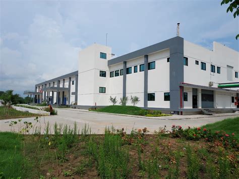 PT Consultant