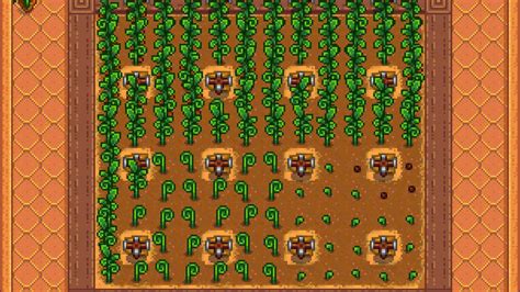Ancient Fruit in Stardew Valley - ScalaCube