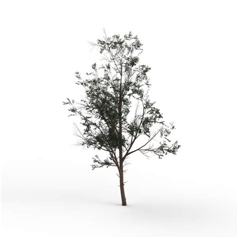 Image result for Tree Model for Unity