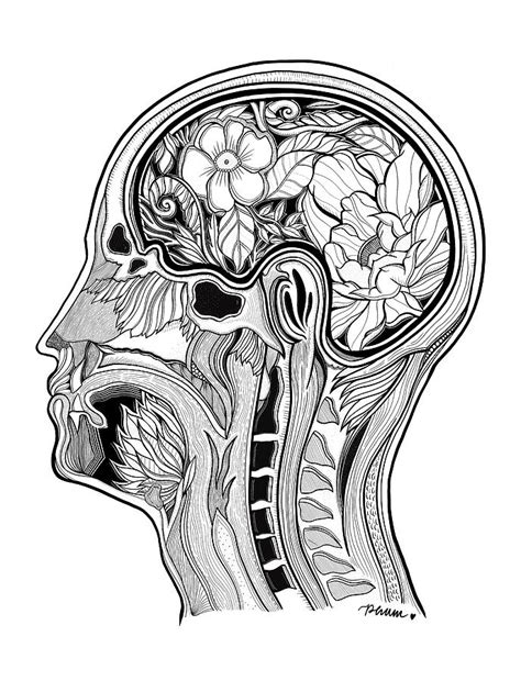 Image result for Brain Network Python