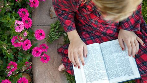 Image result for Scripture Study Questions LDS