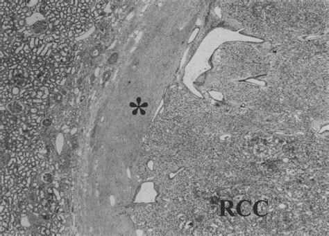 Image result for CodePen Sidebar Toggle