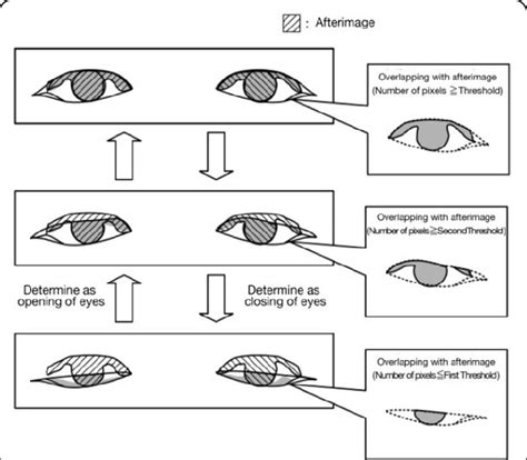 Eye-Opening Definition Uk at Hector Myers blog