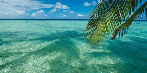 Blue Zones 4-Week Docuseries Screening, Florida Blue North Jacksonville ...