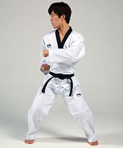 Hinge Block | Taekwondo Wiki | Fandom