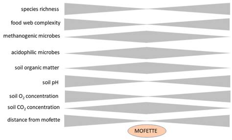Mofettes as Models for Basic Research on Soil and Rhizosphere Microbial ...