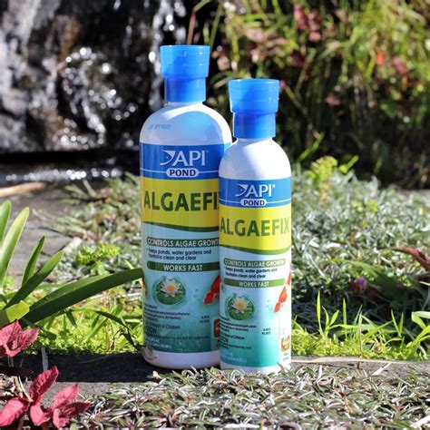 Image result for How to Use API AlgaeFix