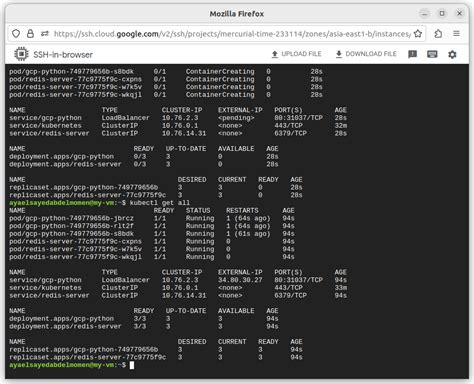 GCP Workbench Python 的图像结果