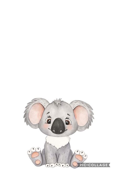 Adorable Koala Bear Drawing