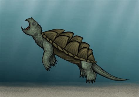 Image result for Alligator Snapping Turtle Cartoon