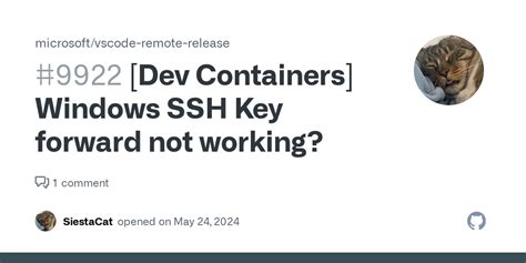 Windows Containers SSH 的图像结果