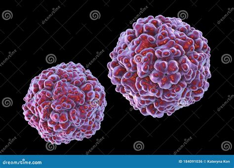 Enteroviruses, a Group of RNA-viruses Including Echoviruses ...