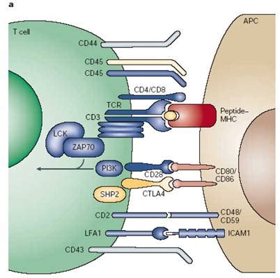 Untitled Document [actrec.gov.in]